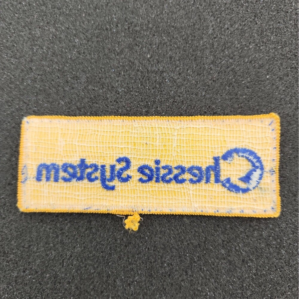 Patch Chessie System Railroad Embroidered 4.25" X 1.5" Sew On Iron 1970's VTG - Picture 2 of 2